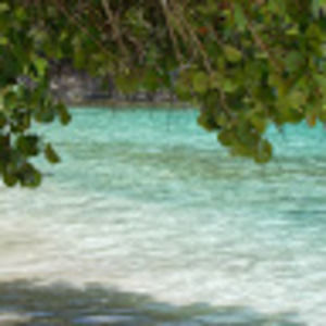 Meet your Posher, Suzanne